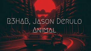 R3HAB Jason Derulo - Animal  Extended Remix