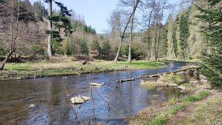 Podél Střely z Mladotic do Rabštejna nad Střelou 30.3.2024