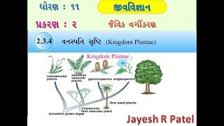 Std 11 Biology Ch 2   Biologycal classification 2.3.3 plantae