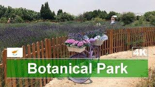 Botanical Park Avgorou Village • Cyprus ⁴ᴷ