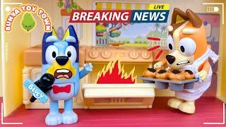 Blueys News Show   Fun Play with Bluey Toys  Bunya Toy Town