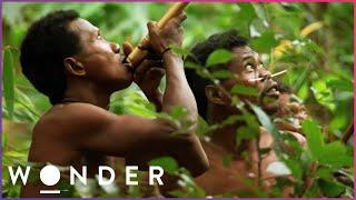This Hidden Tribe Hunt Jungle Animals With Deadly Precision  Man Hunt S1 E2  Wonder