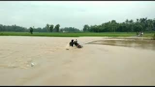 Nekat MelintasBapak ini Terjang banjir Malah Jatuh Terseret Arus