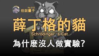 【俗說量子】為什麽沒有人做「薛丁格的貓」實驗？Schrödingers Cat  Linvo說宇宙