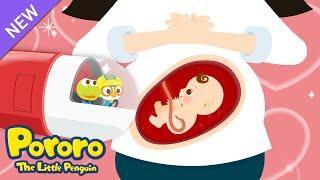 Baby Bump Song  Mommy Got A Baby  Pororos Body Exploration  Pororo English