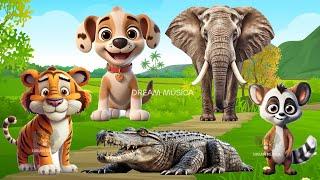 Wild Animal Sounds In Peaceful Elephant Lemur Dog Tiger Impala Ladybird