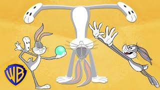 Looney Tunes Presents Sports Made Simple Gymnastics  @wbkids