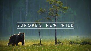 Europes New Wild - Europe’s wildlife comeback is underway