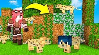 Minecraft ITA - NASCONDINO IN MEZZO AGLI OCELOT