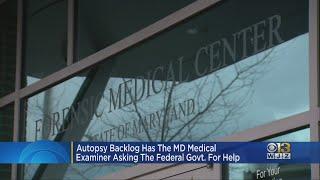 Maryland Medical Examiner Seeks Federal Assistance For Body Backlog