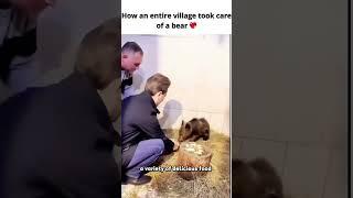 How an entire village took care of a bear  #village  #bear  #care  #rescue  #growth