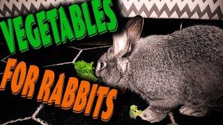 These are the BEST safe vegetables for rabbits safe fruits for  rabbits and what about oxalates?
