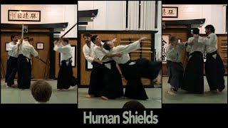 Multiple Attackers Human Shields Substitutions Bridging and Entangling