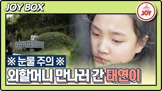 JOY BOX ※눈물 주의※ 외할머니 뵈러 순창에 간 태연이의 코 끝 찡한 꽃구경 한 소절 #스타다큐마이웨이 #TV조선조이 TV CHOSUN 211024 방송