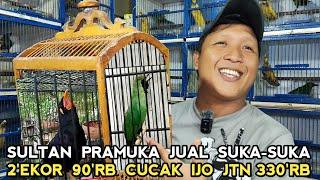 CUCAK IJO NOPENG 350 RIBU..NGABISIN DUA EKOR 90 RIBU DUA EKOR DI KIOS SKJ PASAR BURUNG PRAMUKA