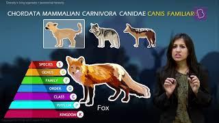 Taxonomy and Taxonomic Hierarchy Biological Classification of Living Things