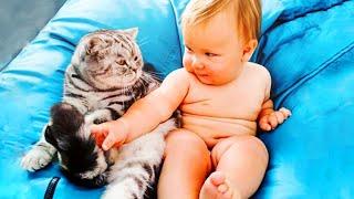 Funny Babies Playing With Cats  Best Friend Forever