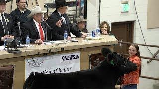 John Korrey Auctioneer calls the Junior Livestock Champions auction