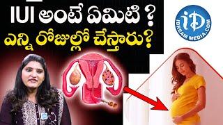 IUI Treatment Procedure Costs Success Rates Telugu  MOM IVF & RESEARCH CENTER  iDream Health