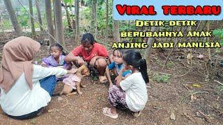 Viral  detik-detik anak durhaka berubah jadi anjing di kelilingi anak kecil jadi ejekan