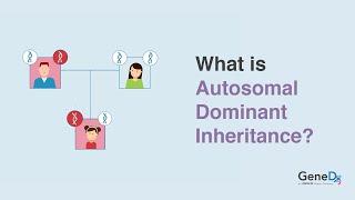 What is Autosomal Dominant Inheritance?