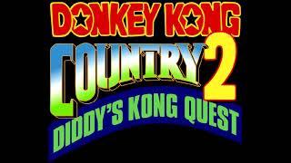 Atmacoustics - Stickerbrush Symphony Acoustic - Extended - Donkey Kong Country 2