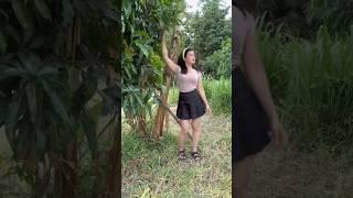 Mau ketawa takut dosa video lucu bikin ngakak hiburan warga+62 viral video funny videos funny shorts