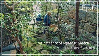 Pro.49 - Ep.0 A scene of a maintenance of a Japanese garden. 【作庭志 稲田】