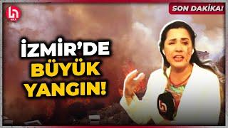 SON DAKİKA İzmir Dikilide yangın büyüyor Halk TV olay yerinde