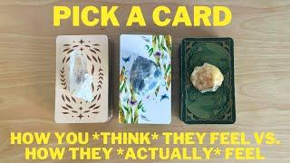 How You THINK They Feel Vs. How They ACTUALLY Feel  Pick A Card  Timeless Love Tarot Reading