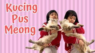 KUCING PUS MEONG - Lagu Anak Terbaik