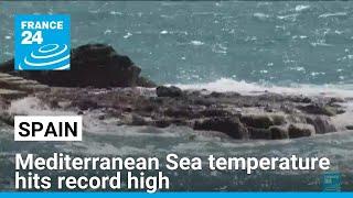 Mediterranean Sea temperature reaches record high • FRANCE 24 English