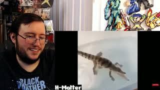 Gors  BEST MEMES COMPILATION #37 by H Matter  REACTION