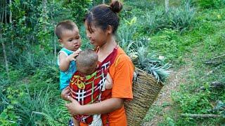 Single mother raising two children alone - Harvest Pineapple Goes to the market sell & Cooking