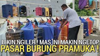 GACOR PARAH  HARGA SELAKUNYA NEGO POL SAMPAI JADI DI PASAR BURUNG PRAMUKA HARI INI