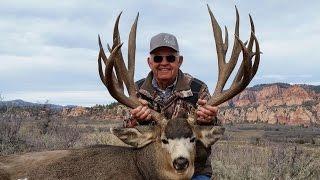 278 MONSTER Mule Deer from Utah - Albert Richard - MossBack