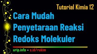 Cara Mudah Penyetaraan Reaksi Redoks Molekuler 5 Contoh