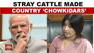 Dimple Yadav Speech Stray Cattle Turned Entire Country Into ‘Chowkidars’