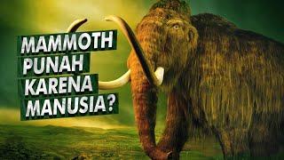 Pernah Hidup Berdampingan Dengan Manusia Hingga Ingin Dihidupkan Kembali  Mammoth