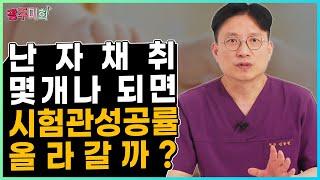 난자채취 몇 개나 되면 시험관 성공률 올라갈까?