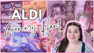 WEEKLY ALDI HAUL  Meal Plan & Grocery Haul  MARCH 2024