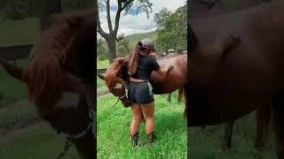 my horse is frisky ️️️#FUNNY ANIMALS#FUNNY #ADORABLY ANIMALS#SHORTS