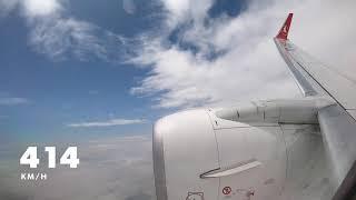 Hamburg - Istanbul New Airport flight wingview Turkish Airliners Boeing 737-800 NG