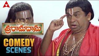 Sri Ramadasu Movie  Brahmanandam Best Comedy Scene  Nagarjuna Sneha