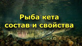 Чем полезна кета ? В чем ее особенность  и можно ли ее употреблять в пищу?