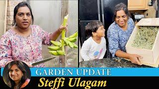 Garden Update Vlog in Tamil  Nesting Box for Coco  Preparing Plants for Winter and harvest Vlog