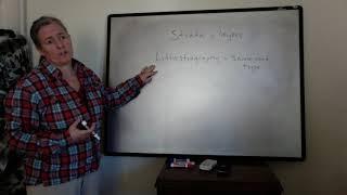 Lithostratigraphy and Chronostratigraphy - Introduction to how they differ sed strat