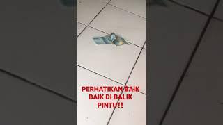 sosok tuyul asli yang mau nyuri uang