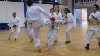 Karate 1 Boy vs 6 Girls Brutal Fight