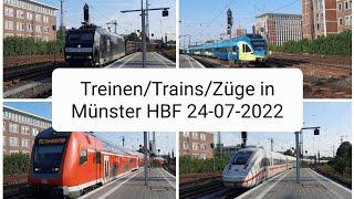 TreinenTrainsZüge in Münster HBF 24-07-2022